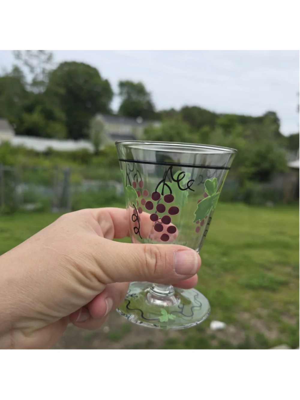 MCM Mid Century Hand Painted Franciscan Ware Wine Glasses Goblets 6 pc Set